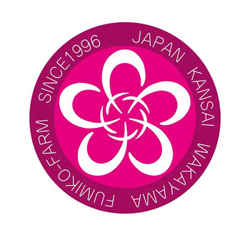 ふみこ農園 フルーツスムージー １０本 のし対応可 送料無料-2