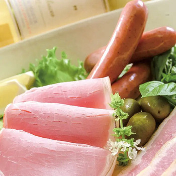 飛騨ハム ハム ソーセージセット のし対応可 送料無料-1