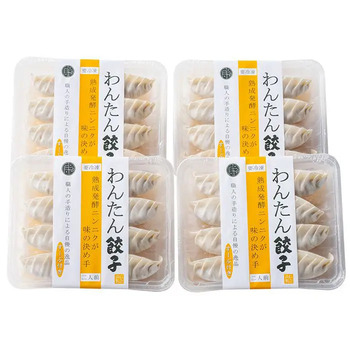 八王子信念フーズ わんたん餃子 のし対応可 送料無料-6