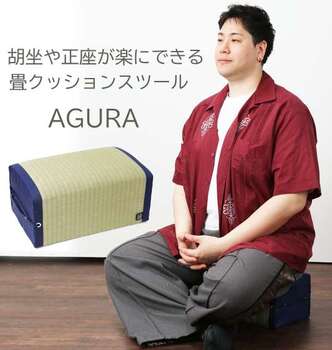 大きいサイズ AGURA F ネイビー ラッピング可 送料無料 即日発送-5