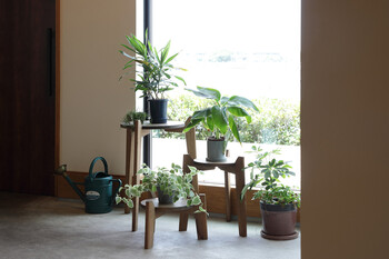 マホガニー Jardin Plants Table set ジャルダン プランツ テーブルセット MHOPLT3S 送料無料-1