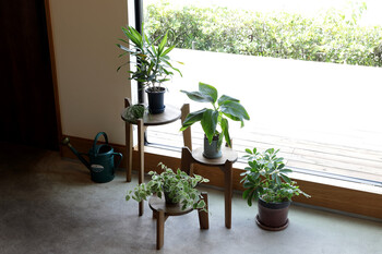 マホガニー Jardin Plants Table set ジャルダン プランツ テーブルセット MHOPLT3S 送料無料-2