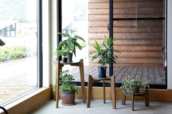 マホガニー Jardin Plants Table set ジャルダン プランツ テーブルセット MHOPLT3S 送料無料-3