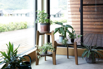 マホガニー Jardin Plants Table set ジャルダン プランツ テーブルセット MHOPLT3S 送料無料-5