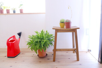 スツール 座面高45cm マホガニー材ナチュラルテイスト MHO 450ST 送料無料-1