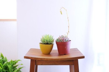 スツール 座面高45cm マホガニー材ナチュラルテイスト MHO 450ST 送料無料-2