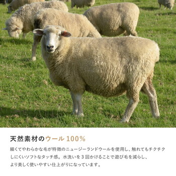 無染色ウールの特別ギャッベ 約40×40cm　チェアパッド なめらか ソフトタッチ LORRI BUFF L16 送料無料-4