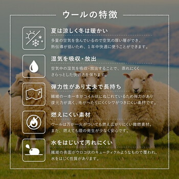 無染色ウールの特別ギャッベ 約40×40cm　チェアパッド なめらか ソフトタッチ LORRI BUFF L16 送料無料-5