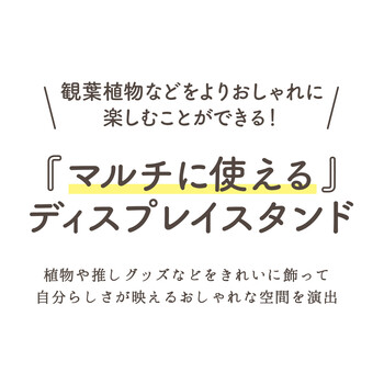 ディスプレイスタンド ワイド 2色展開 送料無料-1