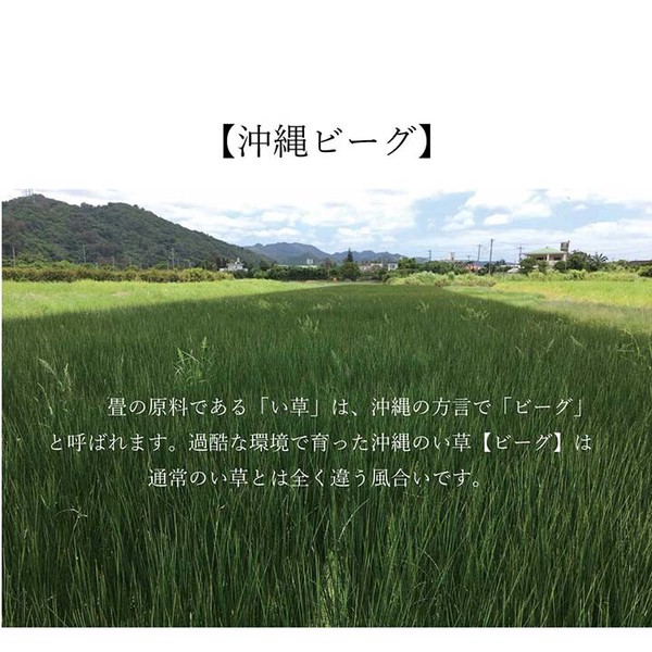 ラグ マット 約191×250cm い草 夏用 沖縄ビーグ 送料無料-6