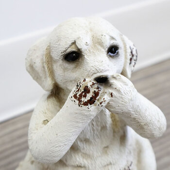 置物 3個セット 販促品 ノベルティーにも 犬 送料無料-3