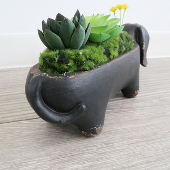 置物 犬 ダックスフンド アレンジフラワー 送料無料-3