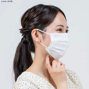 マスク A009 スヌーピー 不織布プリーツマスク ネイチャー 個別包装 30枚入 2セット 送料無料-4