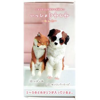 フィギュア いっしょにねんね わんこ 1個入 8セット 送料無料-3
