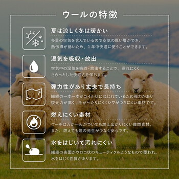 ラグ ギャッべ ラグ 約140×200cm LORRI BUFF L18 L19 5サイズ 送料無料-5