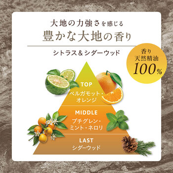 ココパーム ランドエッセンストリートメント 詰替用 380mL 2個セット 送料無料-2