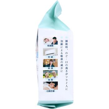 ドライマウスガード 眠れマウス 男性サイズ ホワイト 50枚入 送料無料-2