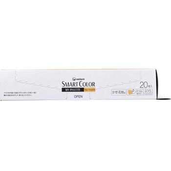 SMART COLOR スマートカラー MY PALETTE マイパレット ベージュ×バーガンディ ふつう 20枚入 2セット 送料無料-2