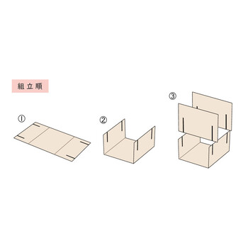 ファルカタ 珍味折箱 50組入 大 容器 日本製 送料無料-2