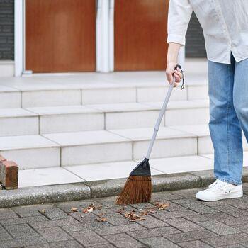 コンドルちょこっとホウキ シダ 5個セット 送料無料 即日発送-5