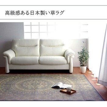 ラグ 夏用 ネイビー約191×250cm ふっくら い草 サークル Fサークル 送料無料-1