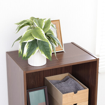 カラーボックス3段 A4対応 2個セット 送料無料-17