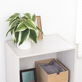 カラーボックス3段 A4対応 2個セット 送料無料-26