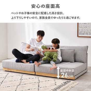 ソファー ローソファLSF 4442 B BR 送料無料-4