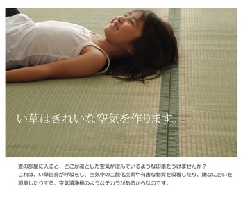 カーペット 純国産 い草 上敷き カーペット 双目織 草津 江戸間8畳 約352×352cm 送料無料-14