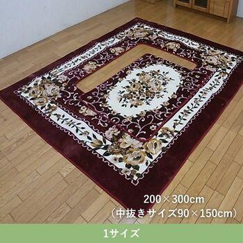 ラグ 敷物 ラグ カーペット 堀こたつ用ラグ Ｈ エメル  約200×300cm ブラウン ワイン 送料無料-4