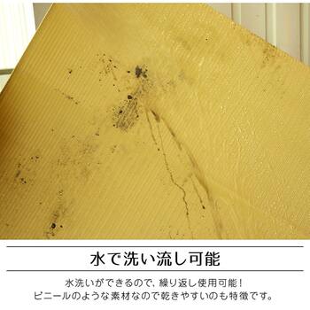 ラグ 洗える 日本製 国産 アウトドア レジャー アウトドア 和室 シンプル 江戸間4.5畳 約261×261cm グリーン ベージュ 送料無料-2