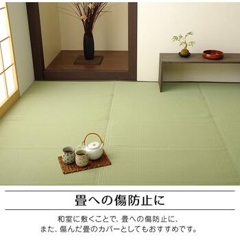 ラグ 洗える 日本製 国産 アウトドア レジャー アウトドア 和室 シンプル 江戸間4.5畳 約261×261cm グリーン ベージュ 送料無料-5