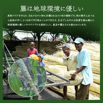 ラグ 籐 ラグ カーペット 自然素材 ひんやり インドネシア産 むしろ 江戸間6畳 約261×352cm 送料無料-15