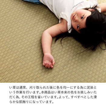 カーペット 上敷き ゴザ 敷詰 カーペット い草 自然素材 日本製 国産 消臭 ナチュラル 市松柄 シンプル 江戸間4.5畳 約261×261cm 送料無料-12