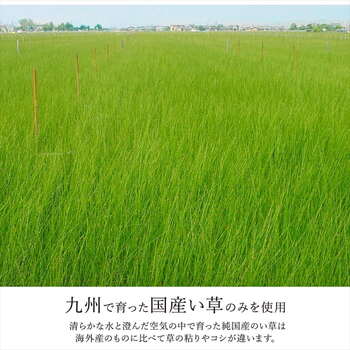 カーペット ござ 日本製 国産 敷詰 ラグ 敷物 ナチュラルスタイル い草 江戸間4.5畳 約261×261cm ブラウン ブラック 送料無料-2