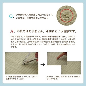 ラグ い草ラグ 花ござ カーペット 格子柄 ナチュラル シンプル 和室 洋室 消臭 江戸間4.5畳 約261×261cm レイクブルー ブラウン 送料無料-9