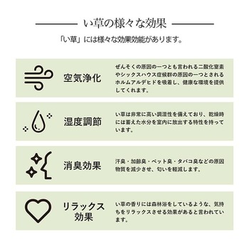 ラグ い草ラグ 花ござ カーペット 格子柄 ナチュラル シンプル 和室 洋室 消臭 江戸間4.5畳 約261×261cm レイクブルー ブラウン 送料無料-13