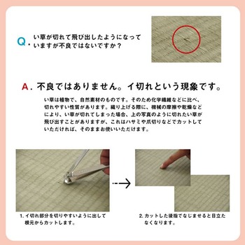 カーペット い草 上敷き カーペット 制菌 抗菌防臭 消臭 小林製薬KOBA GUARD 約176×176cm 送料無料-9