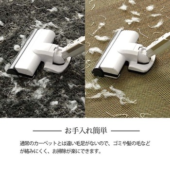 ラグ い草ラグ 花ござ カーペット 格子柄 ナチュラル シンプル 和室 抗菌防臭 江戸間6畳 約261×352cm レイクブルー ブラウン 送料無料-12