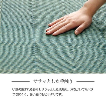 ラグ い草ラグ 花ござ カーペット 格子柄 ナチュラル シンプル 和室 抗菌防臭 江戸間6畳 約261×352cm レイクブルー ブラウン 送料無料-13