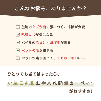 ラグ 洗える ござ 日本製 国産 カーペット リバーシブル 丈夫 除菌スプレー対応 敷詰 ラグ 敷物 ペット 江戸間4.5畳 約261×261cm 送料無料-14