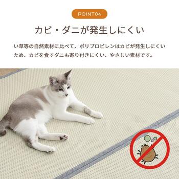 ラグ 洗える ござ 日本製 国産 カーペット リバーシブル 丈夫 除菌スプレー対応 敷詰 ラグ 敷物 ペット 江戸間4.5畳 約261×261cm 送料無料-19