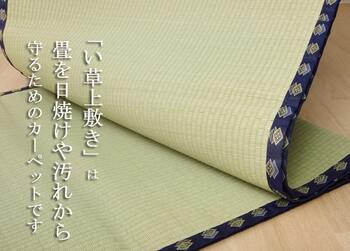 カーペット い草 上敷き い草上敷 はっ水 カーペット 無地 撥水 湖水 江戸間4.5畳 約261×261cm 送料無料-3