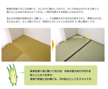 カーペット い草 上敷き い草上敷 はっ水 カーペット 無地 撥水 湖水 江戸間4.5畳 約261×261cm 送料無料-6