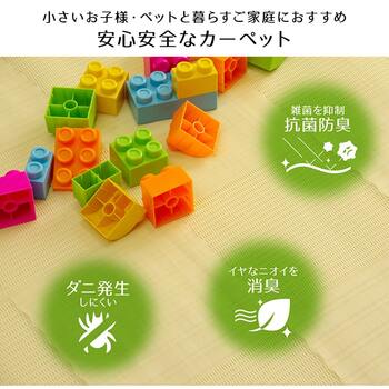 ラグ 洗える カーペット 日本製 国産 抗菌 防臭 消臭 アウトドア レジャー 敷物 和室 シンプル 江戸間4.5畳 約261×261cm 送料無料-5