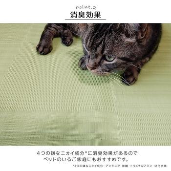 ラグ 洗える カーペット 日本製 国産 抗菌 防臭 消臭 アウトドア レジャー 敷物 和室 シンプル 江戸間4.5畳 約261×261cm 送料無料-7