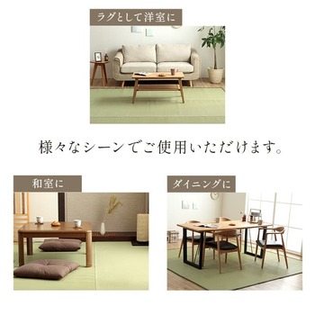 ラグ 洗える ござ 日本製 国産 カーペット 丈夫 除菌スプレー対応 敷詰 ラグ 敷物 ペット 無地 グリーン 江戸間4.5畳 約261×261cm 送料無料-5