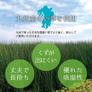 カーペット 上敷き ゴザ 敷詰 カーペット い草 自然素材 日本製 国産 消臭 ベージュ 江戸間4.5畳 約261×261cm 送料無料-9