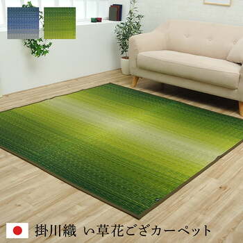 敷物 花ござ 国産 純国産 日本製 い草 掛川織 モダン 抗菌防臭 自然素材 草原 グリーン 江戸間4.5畳 約261×261cm ソウゲン ウミ 送料無料-1