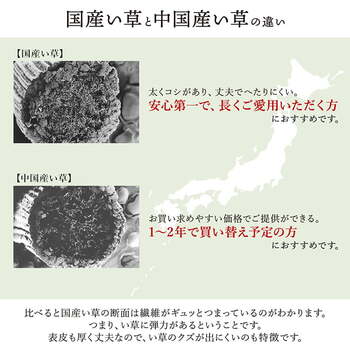 敷物 花ござ 国産 純国産 日本製 い草 掛川織 モダン 抗菌防臭 自然素材 草原 グリーン 江戸間4.5畳 約261×261cm ソウゲン ウミ 送料無料-6